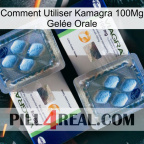 Comment Utiliser Kamagra 100Mg Gelée Orale viagra5